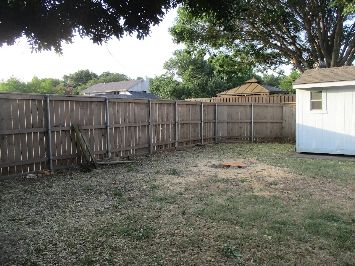 Cleared yard after professional tree removal in Chichester